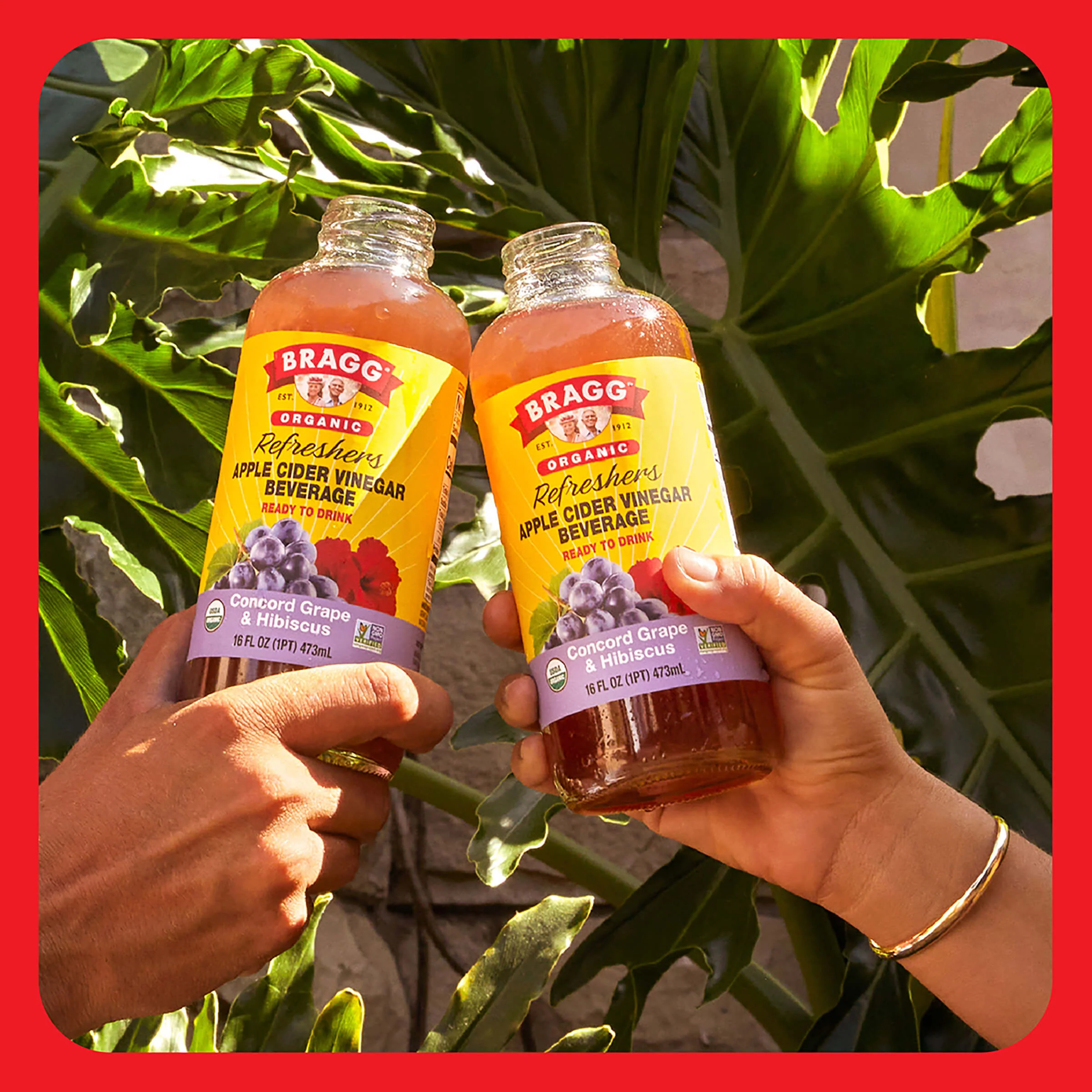 Apple Cider Vinegar Refresher, Concord Hibiscus, 2 Pack - Image 6