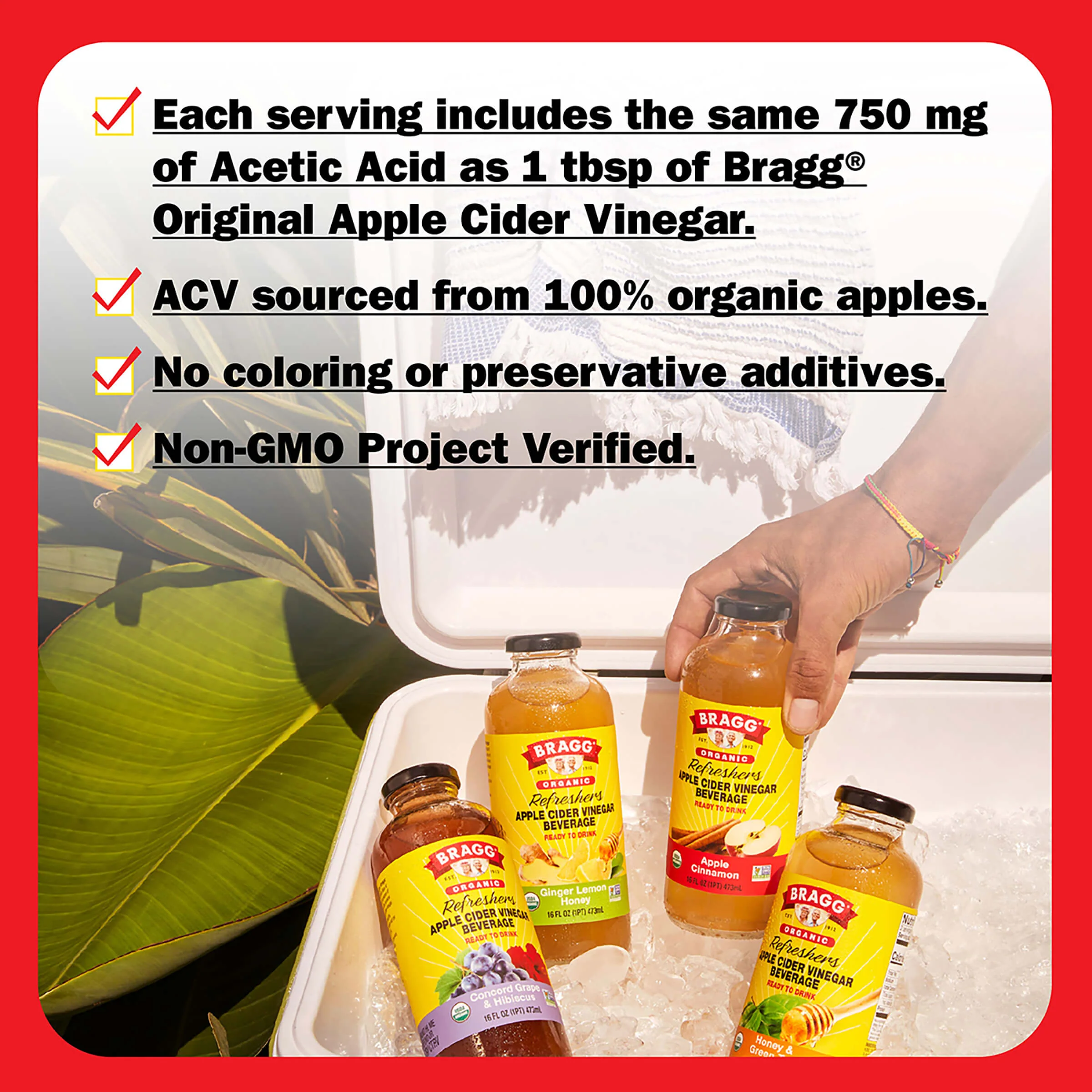 Apple Cider Vinegar Refresher, Concord Hibiscus, 2 Pack - Image 7